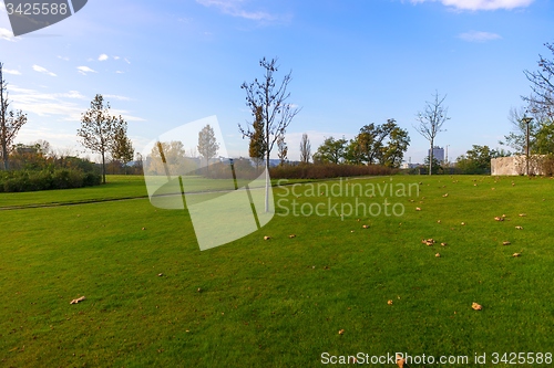 Image of Green lawn at the park