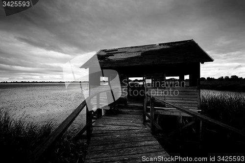 Image of Wooden path trough the reed