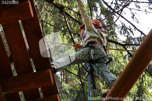 Image of adventure rope park