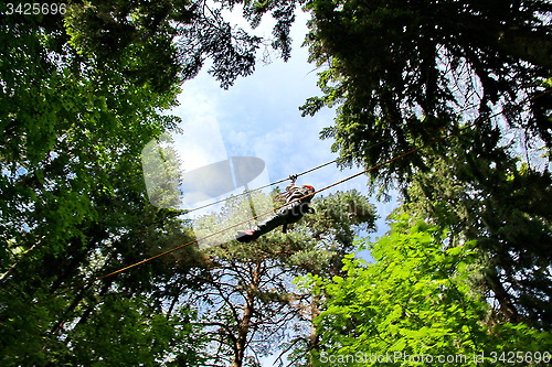 Image of adventure rope park