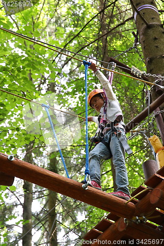 Image of adventure rope park