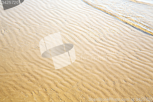 Image of dune morocco in africa  coastline wet   near   ocean