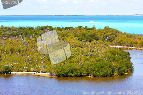 Image of isla contoy   sand   in mexico froath    wave