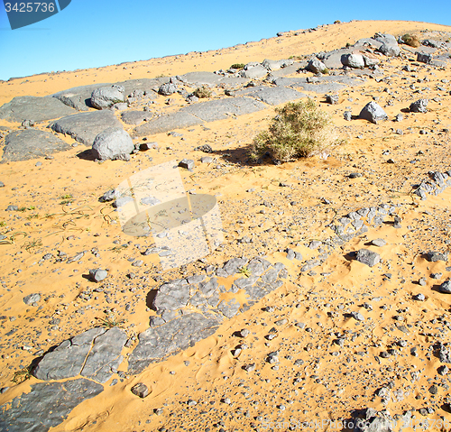 Image of  old fossil in  the desert of morocco sahara and rock  stone sky