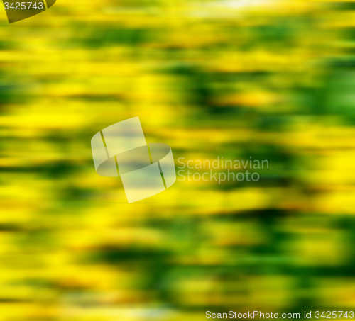 Image of in london yellow flower field nature and spring