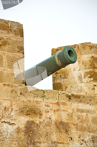 Image of in   green bronze cannon and the blue sky