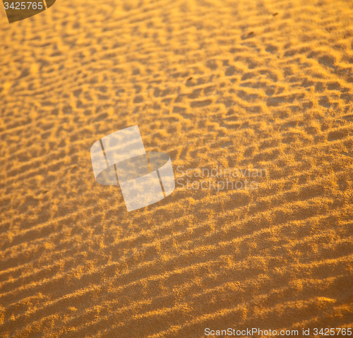 Image of africa the brown sand dune in   sahara morocco desert line