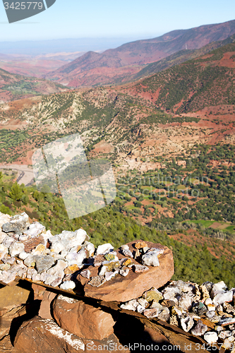 Image of the    dades valley in africa ground tree  and nobody