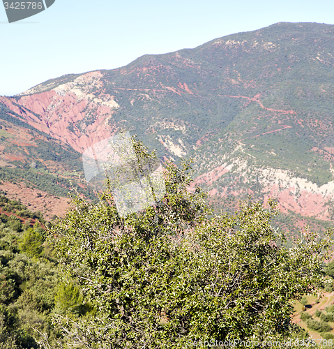 Image of the    dades valley in atlas moroco africa ground tree  and nobo