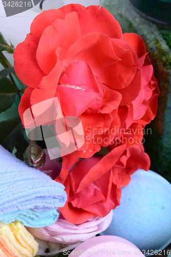 Image of Spa and wellness setting with sea salt, oil essence, flowers and towels on wooden background. Relax and treatment therapy. Summer season. Close up
