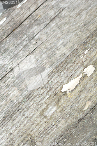 Image of grunge wooden texture used as background.
