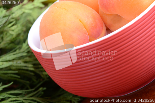 Image of bananas and apricots on red plate, close up