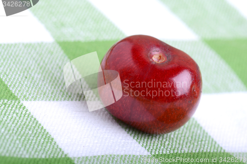 Image of Close up of fresh cherry berries