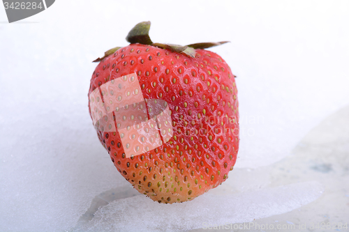Image of Close up strawberry, food concept