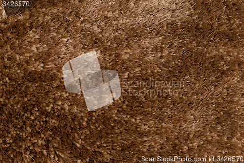 Image of Brown carpet