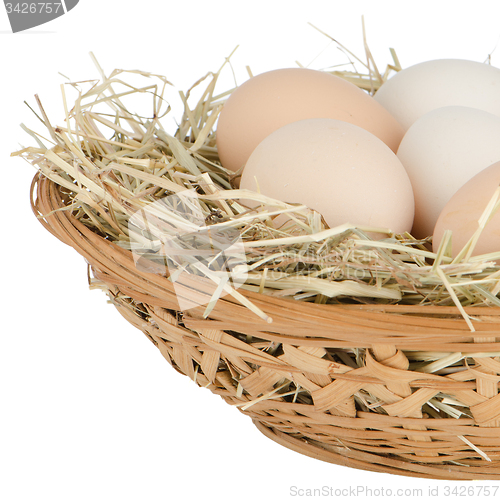 Image of Eggs closeup