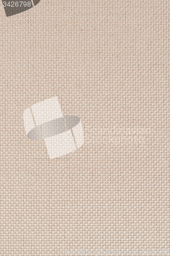 Image of Beige vinyl texture