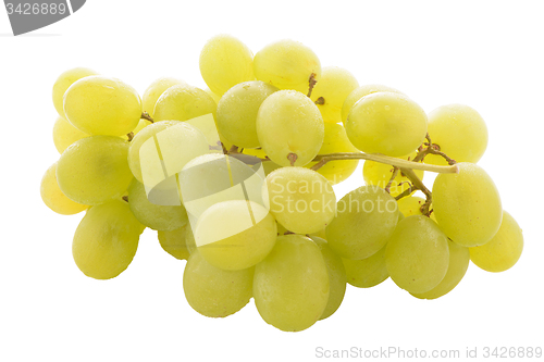 Image of Green grapes