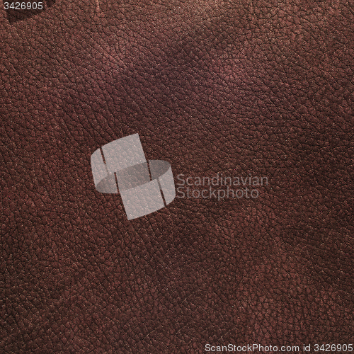 Image of Brown leather