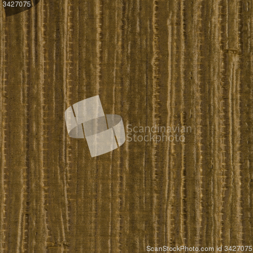 Image of Green vinyl texture