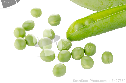 Image of Fresh green pea pod