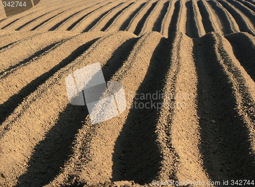 Image of farmland tracks