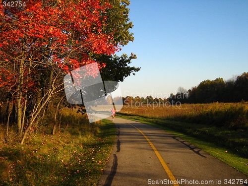 Image of Autumn  Run