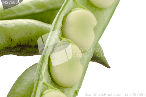 Image of Green beans