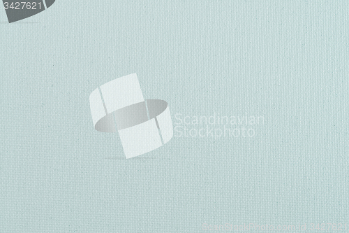Image of Green vinyl texture