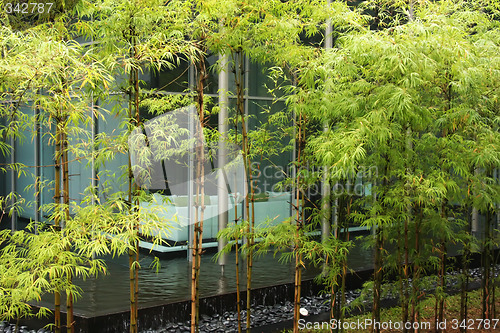 Image of Zen decor
