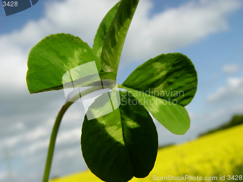 Image of lucky you ;o)
