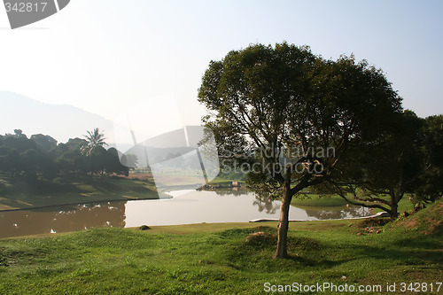 Image of Tropical landscape