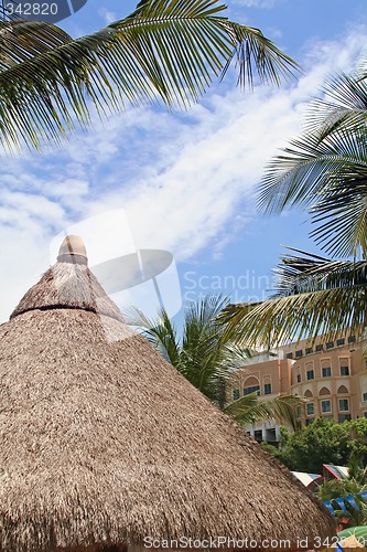 Image of Tropical hut