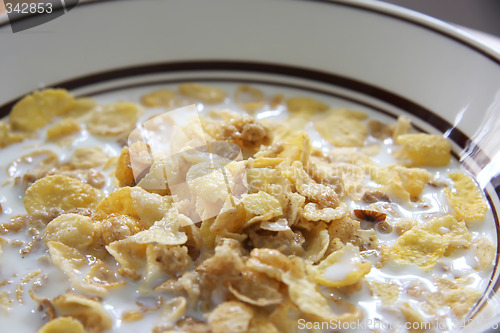 Image of Corn flakes in milk