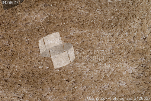Image of Beige carpet