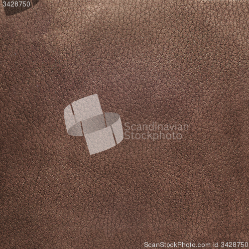 Image of Brown leather
