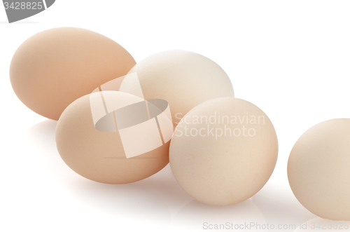 Image of Five eggs 