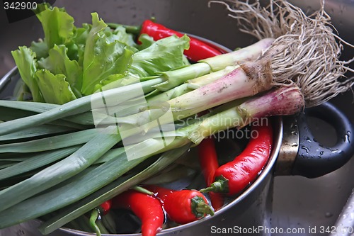 Image of Fresh vegetables