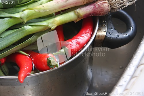 Image of Fresh vegetables