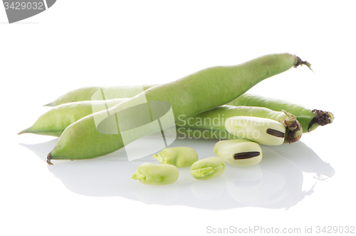 Image of Green beans