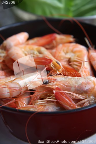 Image of Whole cooked prawns