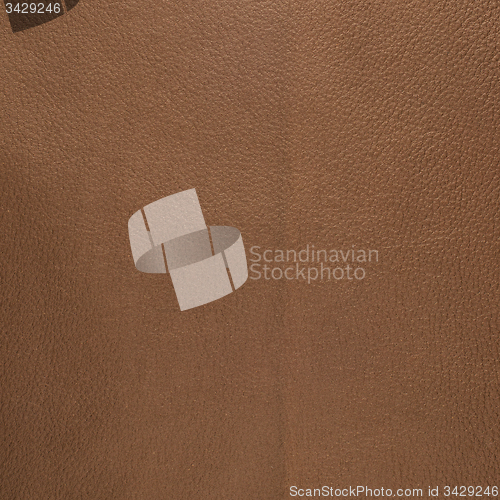 Image of Brown leather
