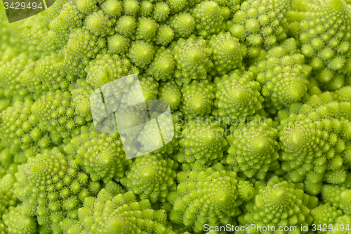 Image of Textured Green Fresh Romanesque Cauliflower