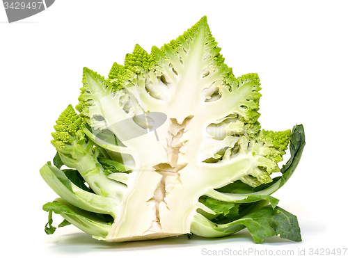 Image of Half Green Fresh Romanesque Cauliflower