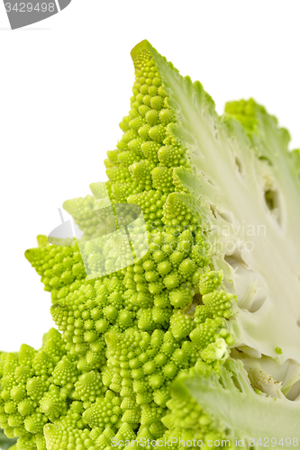 Image of Part Green Fresh Romanesque Cauliflower