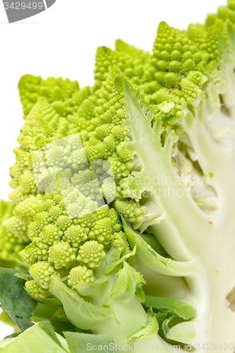 Image of Part Green Fresh Romanesque Cauliflower