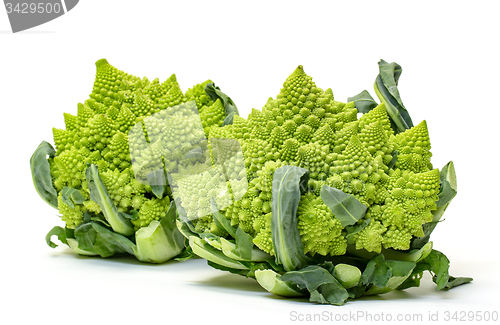 Image of Two Green Fresh Romanesque Cauliflower