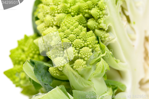 Image of Part Green Fresh Romanesque Cauliflower