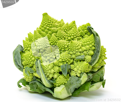 Image of Green Fresh Romanesque Cauliflower