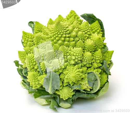 Image of Green Fresh Romanesque Cauliflower